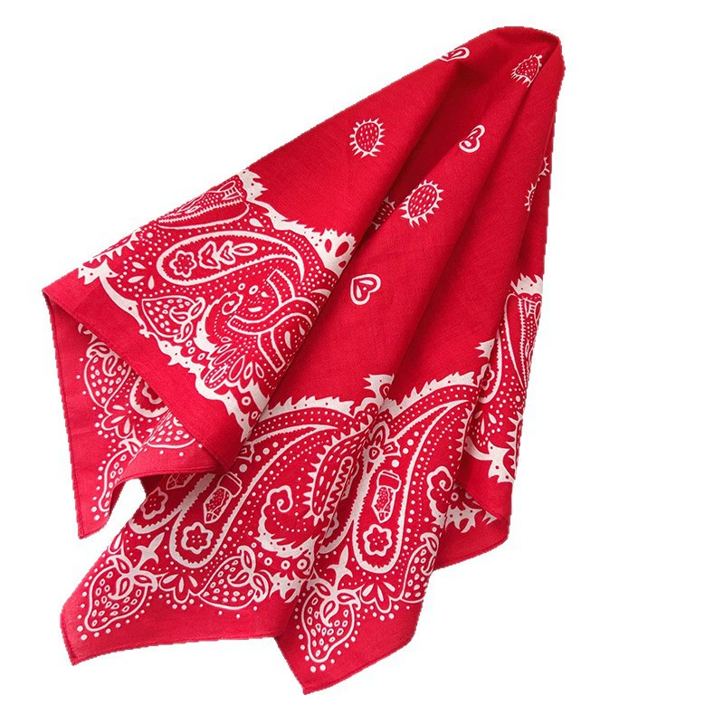 Pañuelo cuadrado de algodón con estampado paisley view 5